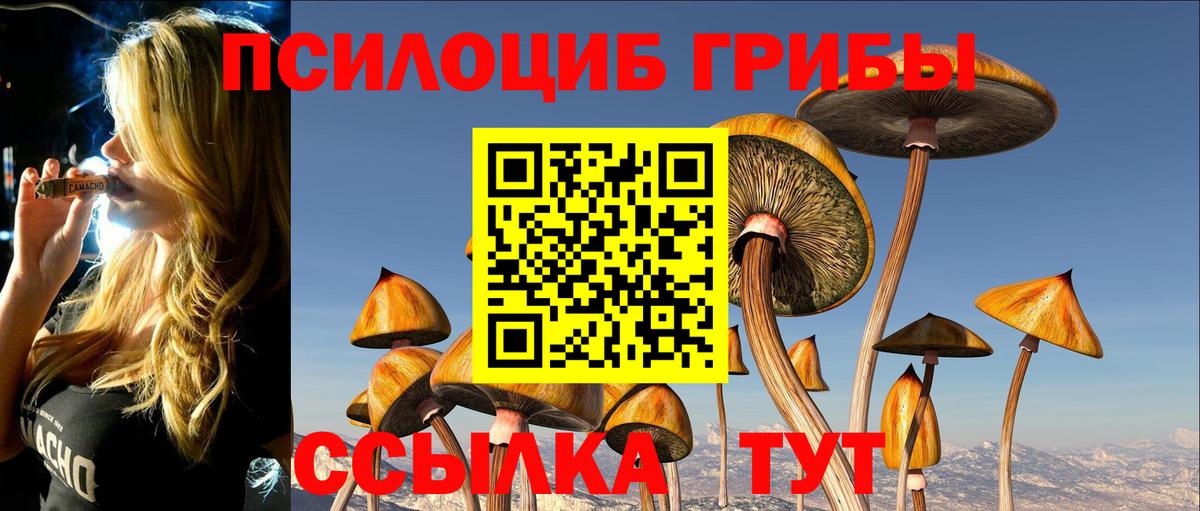 Галлюциногенные грибы прущие грибы Орск