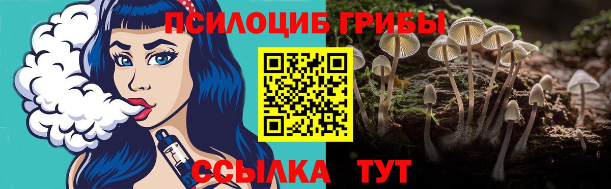 Орск  как найти закладки  Вход с VPN  Галлюциногенные грибы Psilocybe 